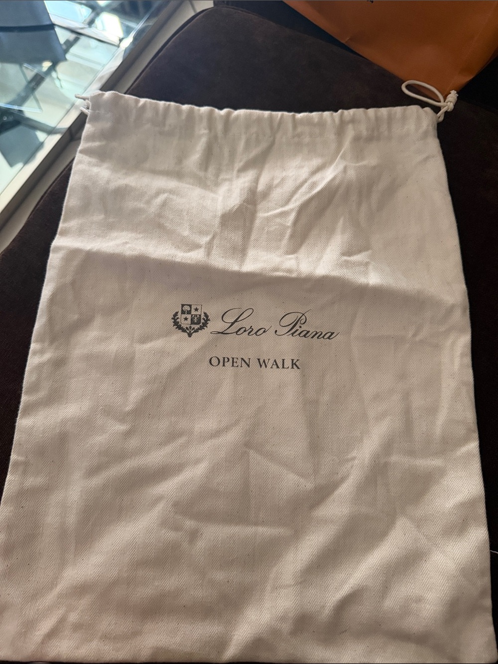 Loro Piana Open Walk Dust Bag in Cream